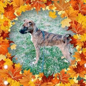 Meet your Posher, Donnie